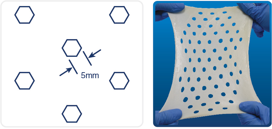 Cortiva Perforated Dimensions