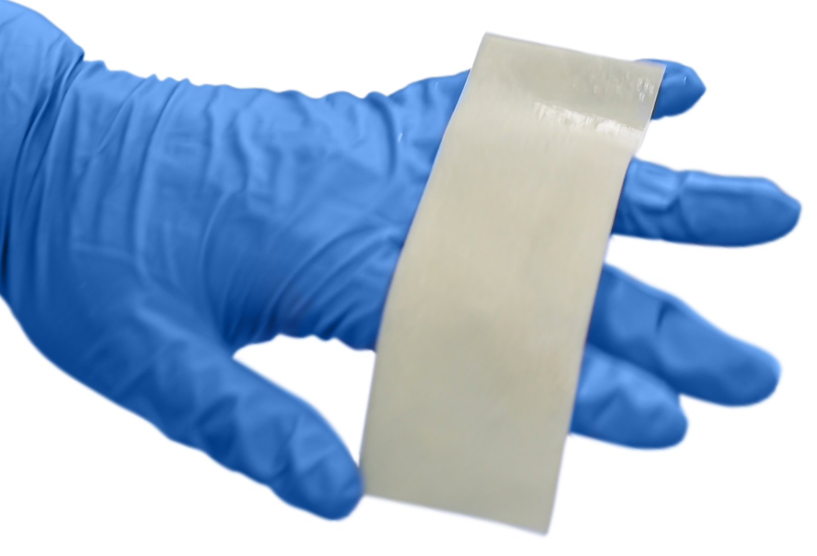 Cortiva Allograft Dermis 1mm in hand