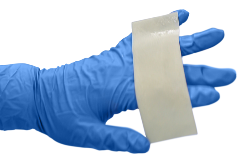 Cortiva Allograft Dermis 1mm in hand