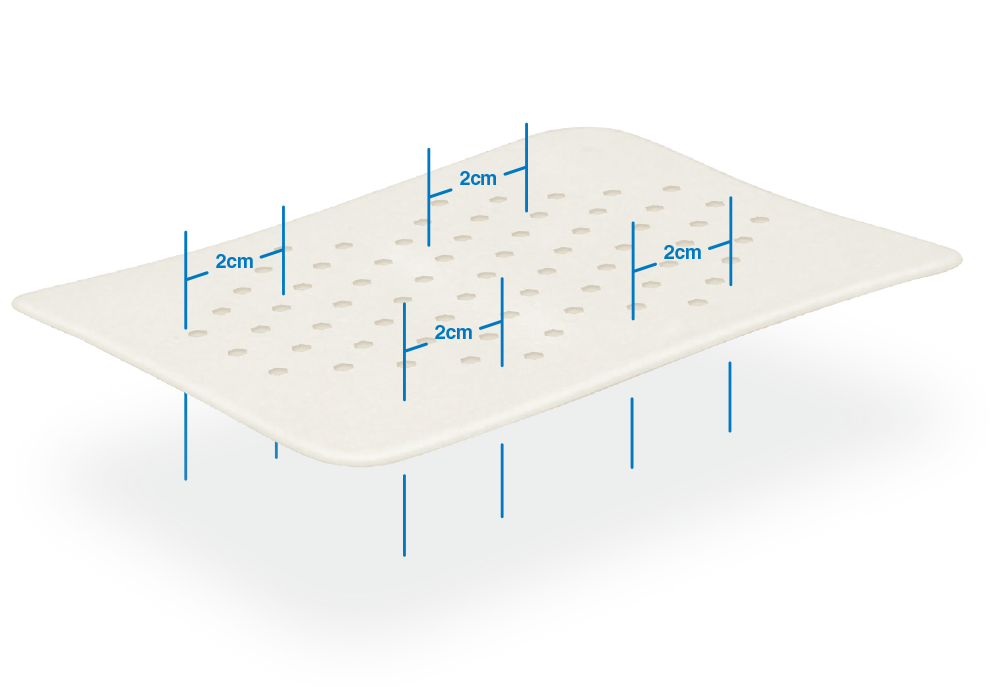 Perforated Dermis Illustration
