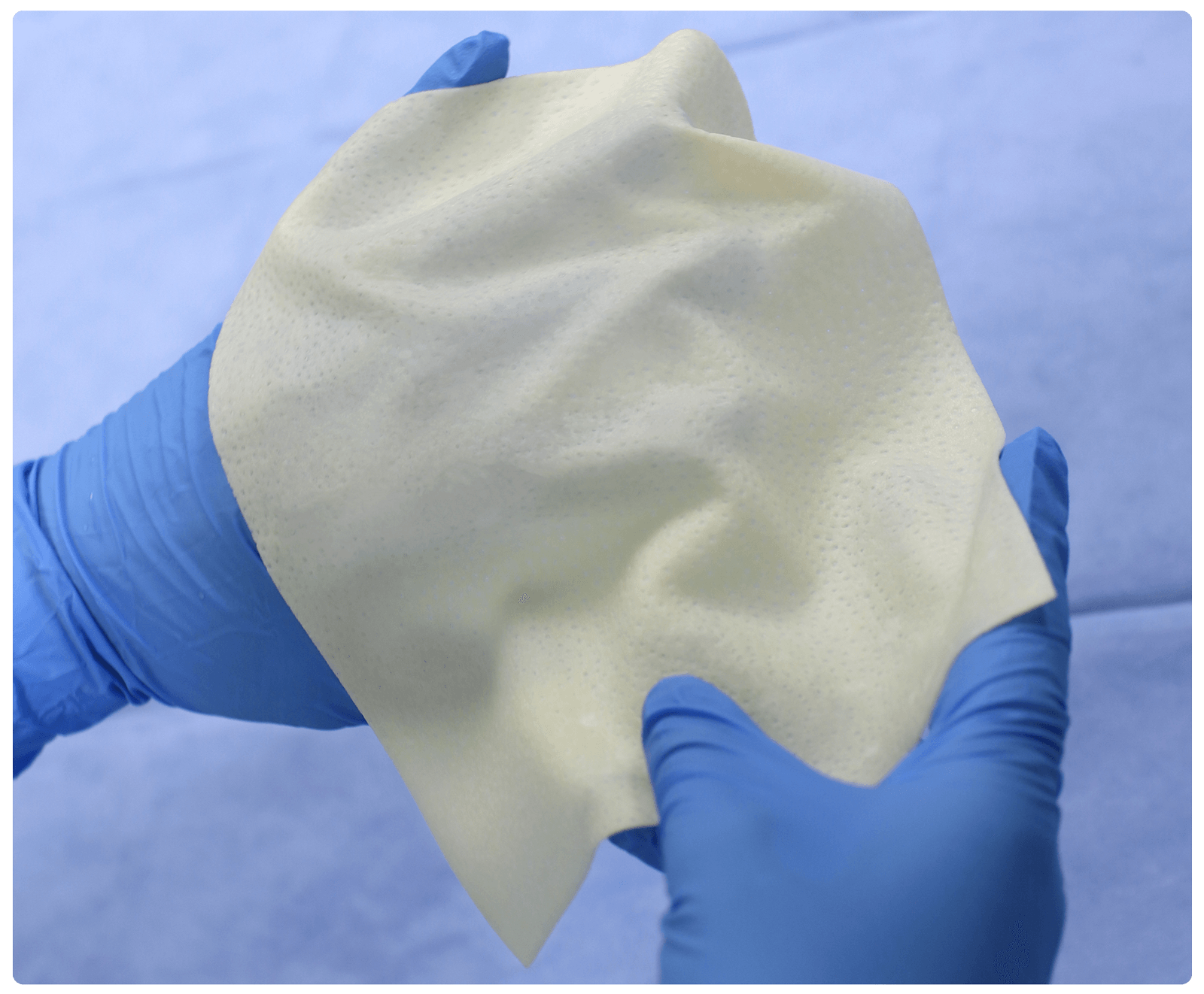 Cortiva Silhouette Allograft Pliability Image